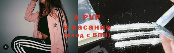 крисы Алзамай