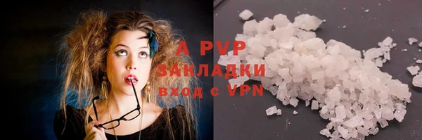 крисы Алзамай